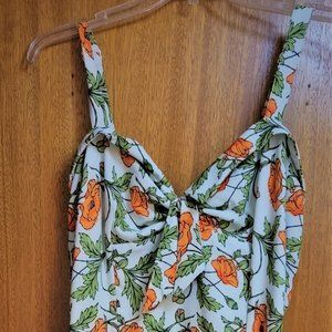 Pinup Girl (PUG) Linda  in California Poppies 2X